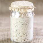 Whole Wheat Sourdough Bread 1 Lb